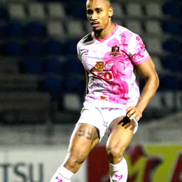 Portrait of Paulo Conrado do Carmo Sardin