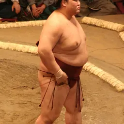 Portrait of Kisenosato Yutaka