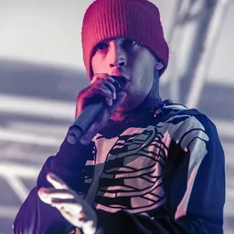 Portrait of Tyler Joseph