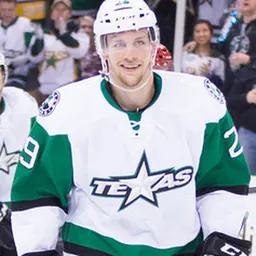 Portrait of Radek Faksa