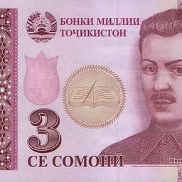 Portrait of Shirinsho Shotemur