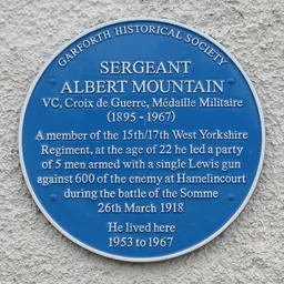 Portrait of Albert Mountain