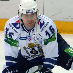 Portrait of Andrei Stepanov