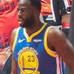 Portrait of Draymond Green