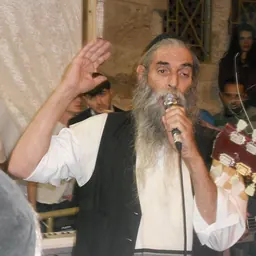 Portrait of Dov Shurin