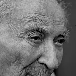 Portrait of Ferenc Fejtő