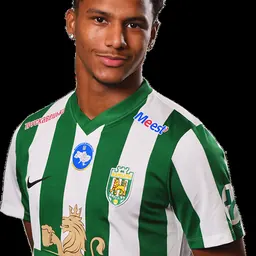 Portrait of Fabiano