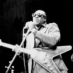 Portrait of Albert King