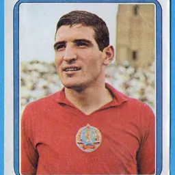 Portrait of Dimitar Penev