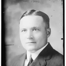 Portrait of Charles John Brand