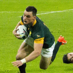 Portrait of Jesse Kriel
