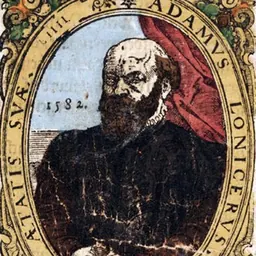 Portrait of Adam Lonitzer