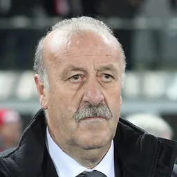 Portrait of Vicente del Bosque