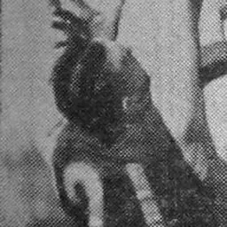 Portrait of Ron Kimberley