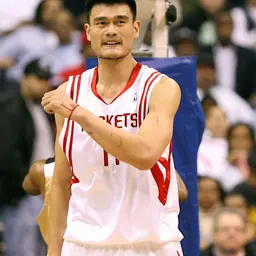 Portrait of Yao Ming