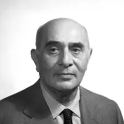 Portrait of Benedetto Majorana della Nicchiara