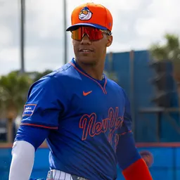 Portrait of Juan Soto