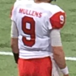 Portrait of Nick Mullens