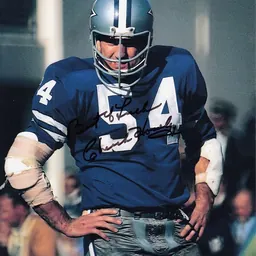 Portrait of Chuck Howley