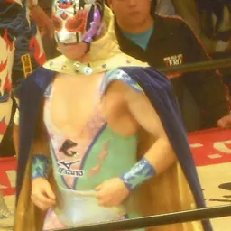 Portrait of Super Delfin