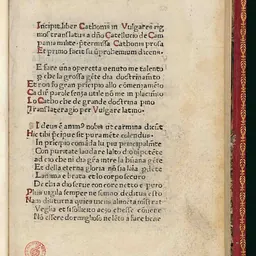Portrait of Dionysius Cato
