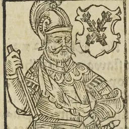 Portrait of Henry II of Lipá