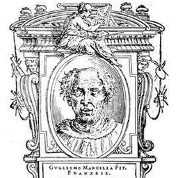 Portrait of Guillaume de Marcillat