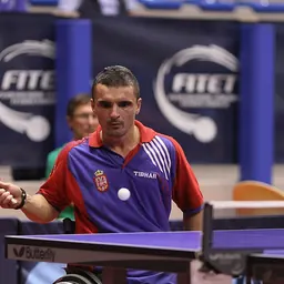 Portrait of Mitar Palikuća