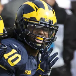 Portrait of Devin Bush Jr.
