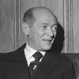 Portrait of Flávio Marcílio
