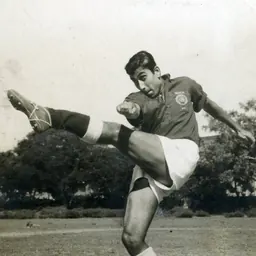 Portrait of P. K. Banerjee