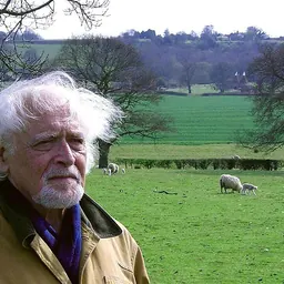 Portrait of Rudi Martinus van Dijk