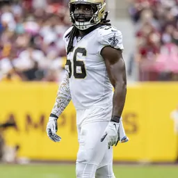 Portrait of Demario Davis
