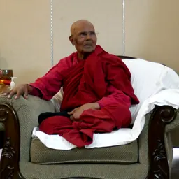 Portrait of Henepola Gunaratana