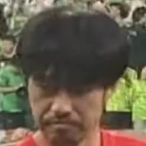 Portrait of Li Hong
