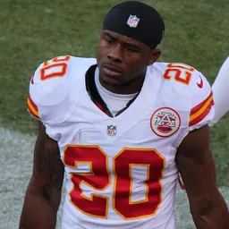 Portrait of Shaun Draughn