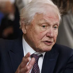 Portrait of David Attenborough