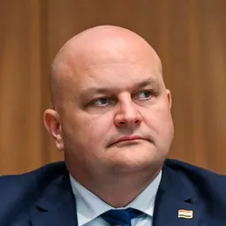 Portrait of Ante Šušnjar
