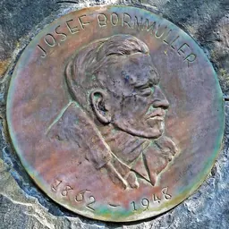 Portrait of Joseph Friedrich Nicolaus Bornmüller