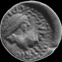 Portrait of Tiberius Julius Rhescuporis V