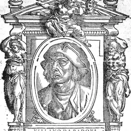 Portrait of Bartolomeo Bellano