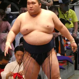Portrait of Gōnoyama Tōki