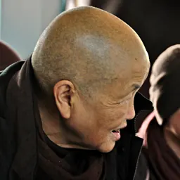 Portrait of Chân Không