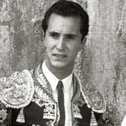 Portrait of Luis Miguel Dominguín