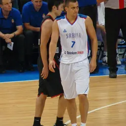 Portrait of Ivan Paunić