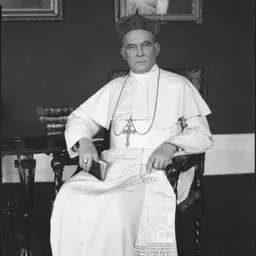 Portrait of Felix-Raymond-Marie Rouleau