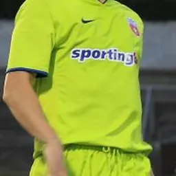 Portrait of Sorin Ghionea