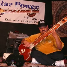 Portrait of Ashwin Batish