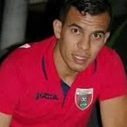 Portrait of Habib Bouguelmouna
