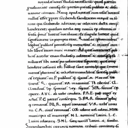 Portrait of Marcus Valerius Probus
